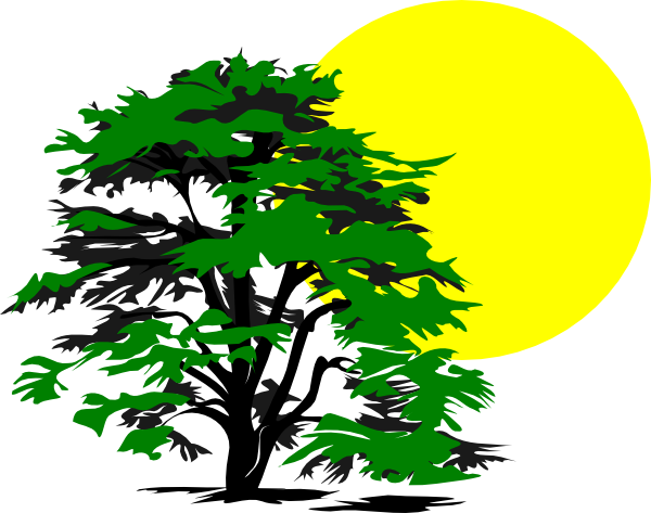 Tree And Sun Clip Art - Free Transparent PNG Clipart Images Download. - Transparent PNG Free Download