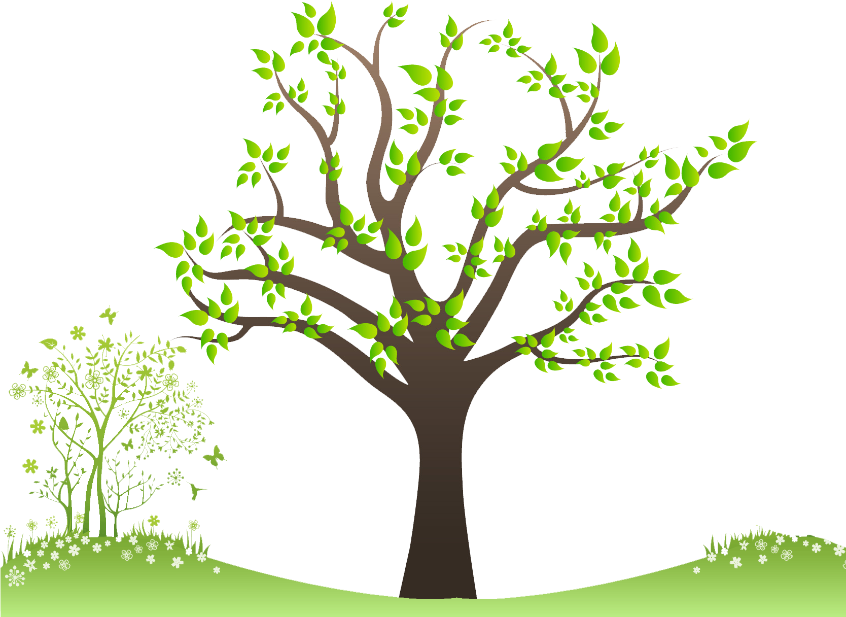Family Tree - Angle Of Elevation Sun Tree - Free Transparent PNG Clipart Images Download. - Transparent PNG Free Download