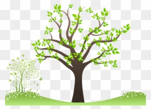 Family Tree - Angle Of Elevation Sun Tree - Free Transparent PNG Clipart Images Download. - Transparent PNG Free Download