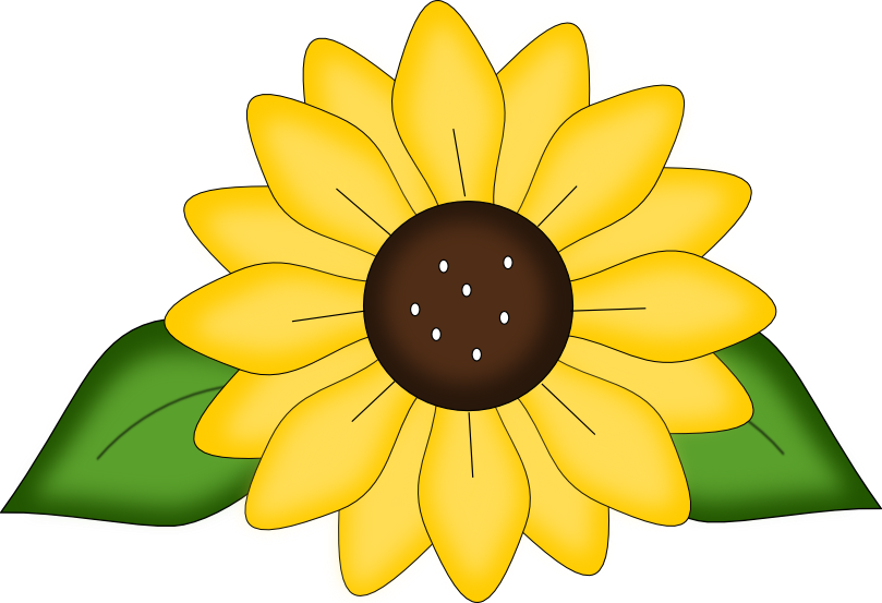 Sun Flower Svg Free - Free Transparent PNG Clipart Images Download. - Transparent PNG Free Download
