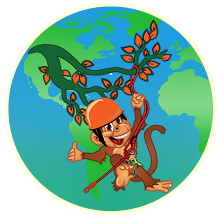 Sun Bear Clipart Borneo - Sun Bear - Free Transparent PNG Clipart Images Download. - Transparent PNG Free Download