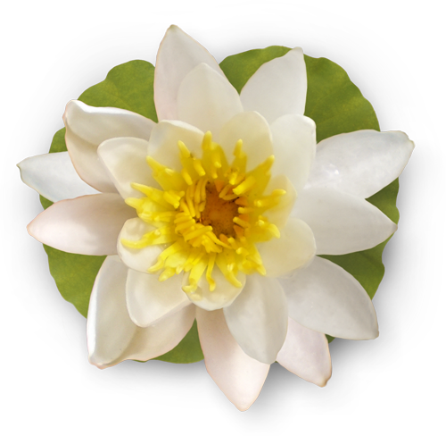 [ Img] - Pid Suduaya - Dreaming Sun [cd] Usa Import - Free Transparent PNG Clipart Images Download. - Transparent PNG Free Download