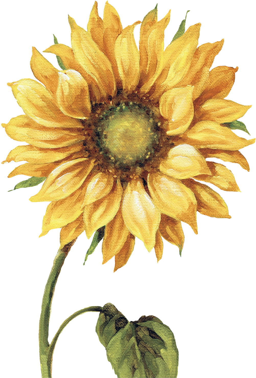 Çiçekler Png Clipart Lisa Audit - Lisa Audit - Under The Sun I Canvas - Free Transparent PNG Clipart Images Download. - Transparent PNG Free Download