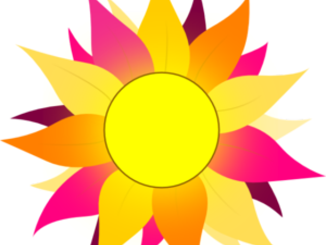Sunflower Clipart Colorful - Sun With Pink & Purple Rays Mugs - Free Transparent PNG Clipart Images Download. - Transparent PNG Free Download