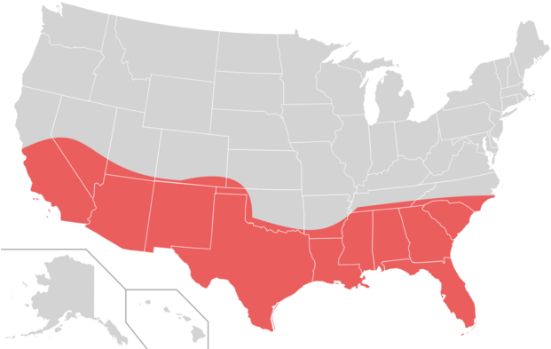 Sunbelt - Sun Belt Region - Free Transparent PNG Clipart Images Download. - Transparent PNG Free Download