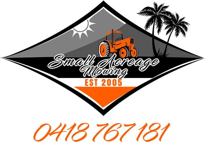 Acreage Mowing Sunshine Coast - Orlando Souvenir Tshirt Gift Palm Tree Sun Florida - Free Transparent PNG Clipart Images Download. - Transparent PNG Free Download