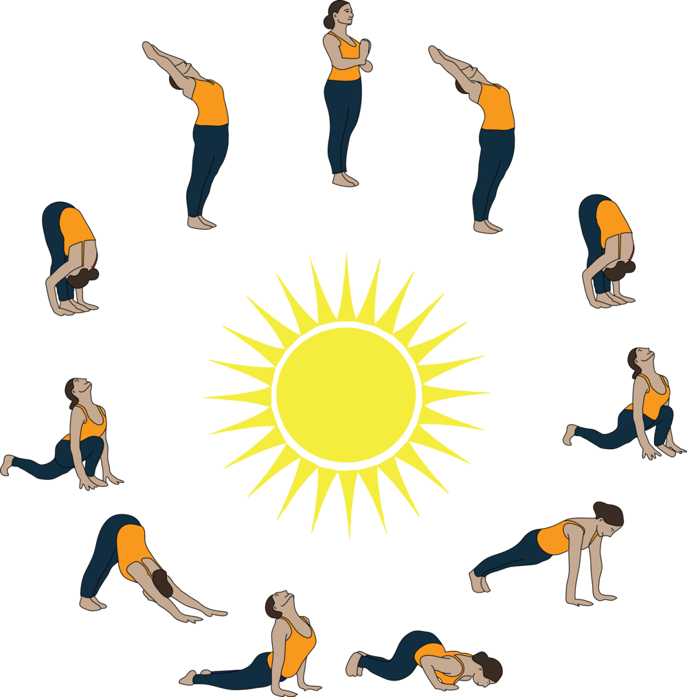 Circulatory System And Sun Salutations City Yoga Studio - Sun Salutation - Free Transparent PNG Clipart Images Download. - Transparent PNG Free Download