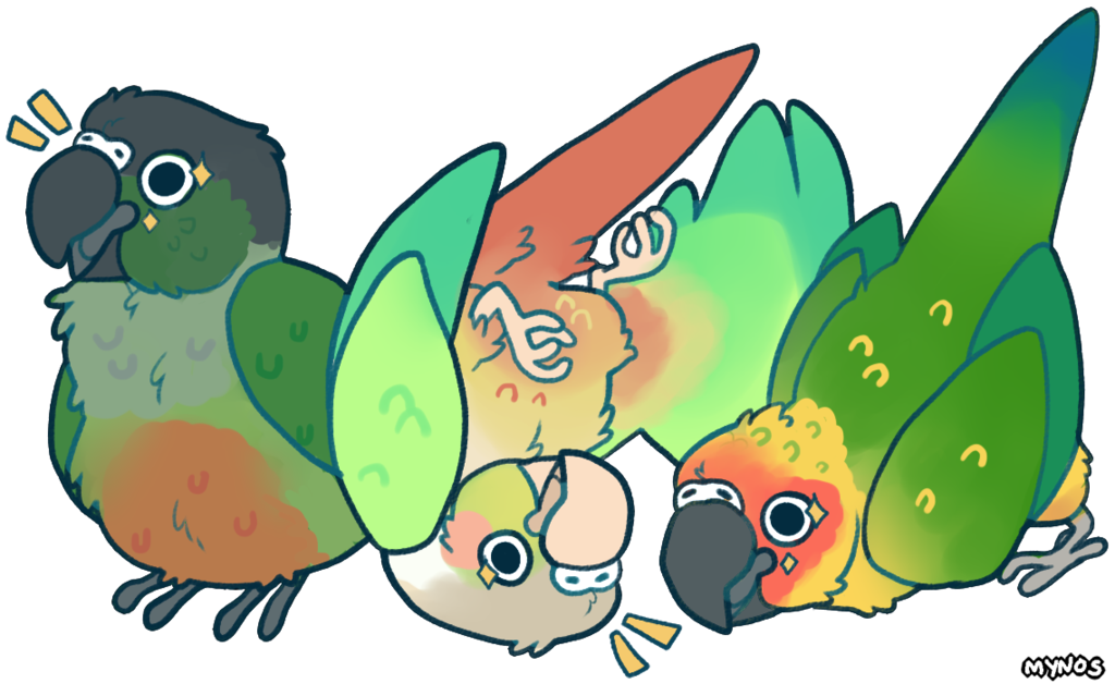 All Hail Bird Orb By Mynosylexia - Sun Conure And Green Cheek Conure - Free Transparent PNG Clipart Images Download. - Transparent PNG Free Download