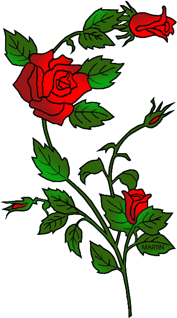 State Flower Of Oklahoma - Wedding Roses Embroidery Design - Free Transparent PNG Clipart Images Download. - Transparent PNG Free Download