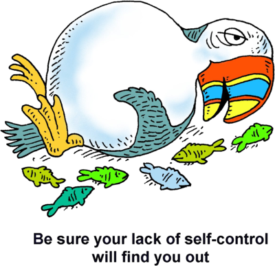 Stuffed Puffin - William And Kate Wedding - Free Transparent PNG Clipart Images Download. - Transparent PNG Free Download