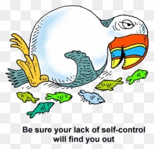 Stuffed Puffin - William And Kate Wedding - Free Transparent PNG Clipart Images Download. - Transparent PNG Free Download