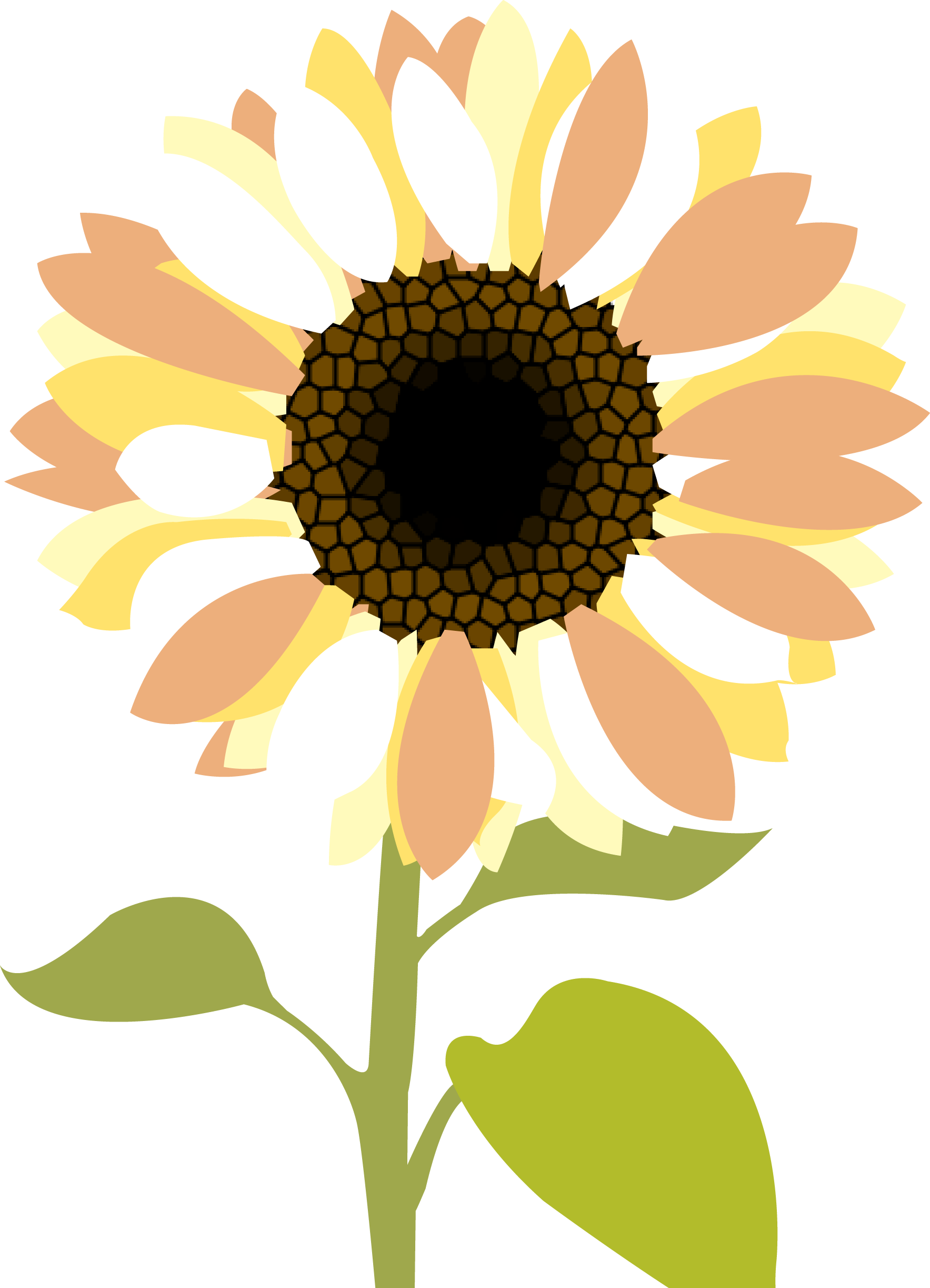 Sunflowers Clip Art Medium Size - Sunflower Wedding Clip Art - Free Transparent PNG Clipart Images Download. - Transparent PNG Free Download