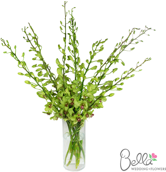Gorgeous Green Dendrobium Orchids Are Exotic And Beautiful - Wedding - Free Transparent PNG Clipart Images Download. - Transparent PNG Free Download