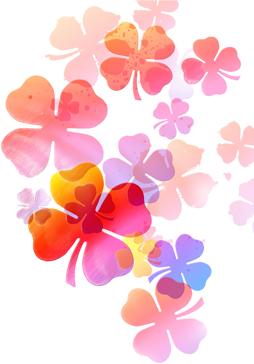Flower Soft Drawing Png Image - 20th Wedding Anniversary Wish To My Wife - Free Transparent PNG Clipart Images Download. - Transparent PNG Free Download