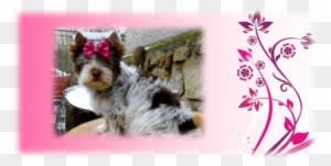 Pinky2 - Wedding Planner : Journal And Guide - Free Transparent PNG Clipart Images Download. - Transparent PNG Free Download