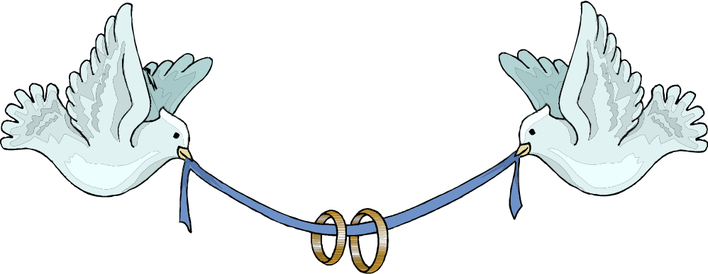 Pin Wedding Birds Clipart - Wedding Rings And Birds - Free Transparent PNG Clipart Images Download. - Transparent PNG Free Download
