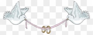 Ceremony Clipart Wedding Love Bird - Dove With Ring For Wedding - Free Transparent PNG Clipart Images Download. - Transparent PNG Free Download