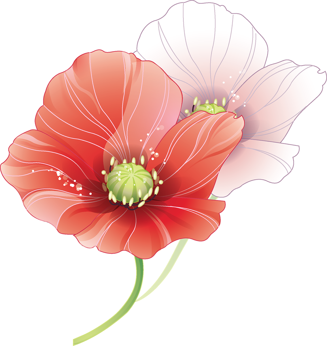 Tubes Fleurs - Wedding Vector - Free Transparent PNG Clipart Images Download. - Transparent PNG Free Download