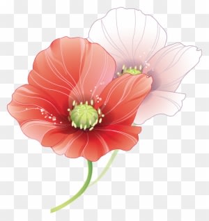 Tubes Fleurs - Wedding Vector - Free Transparent PNG Clipart Images Download. - Transparent PNG Free Download