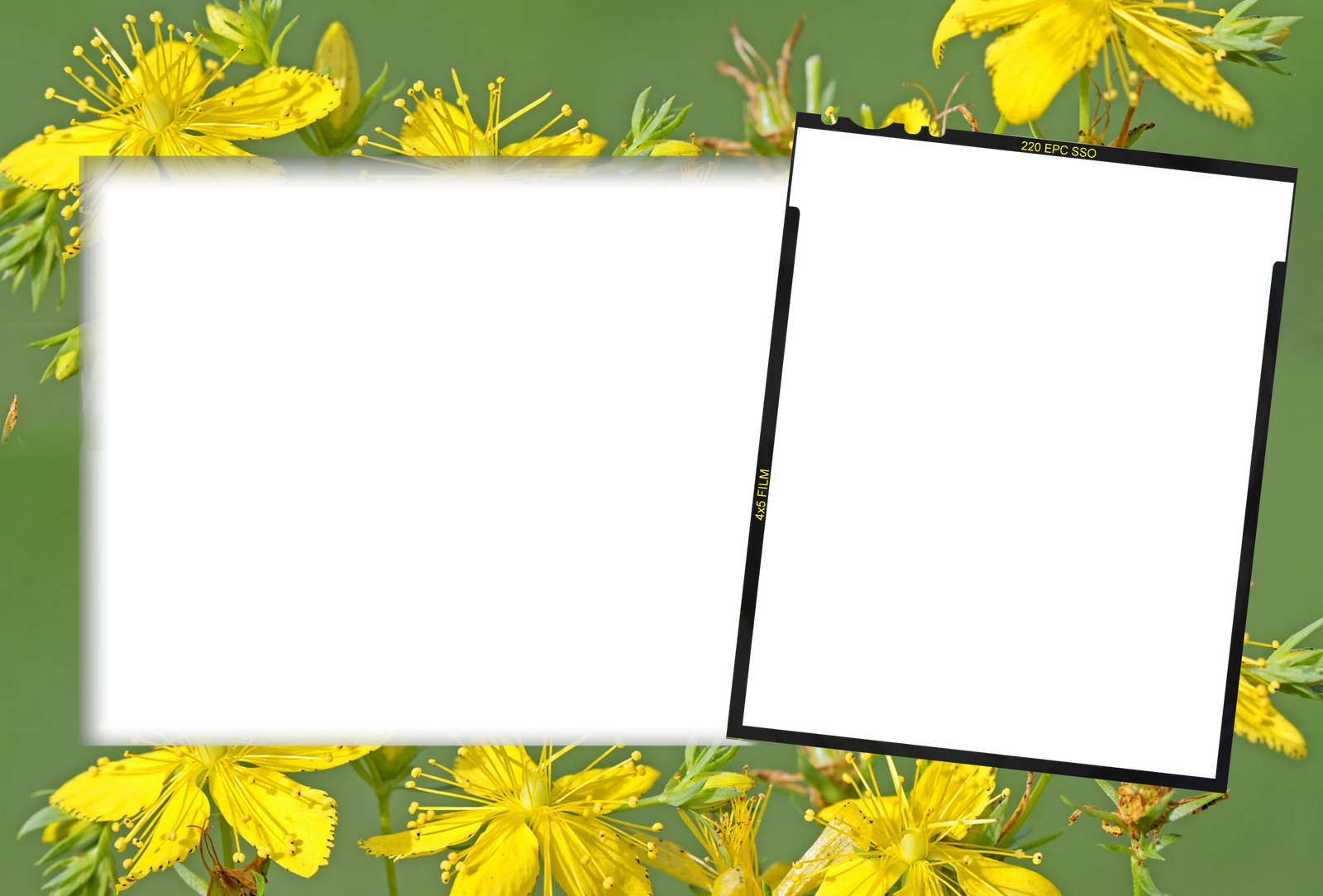 My Blog - Wedding - Free Transparent PNG Clipart Images Download. - Transparent PNG Free Download