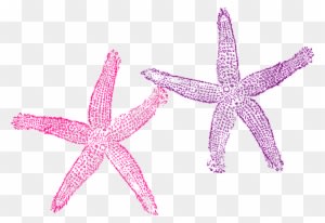 Purple Star Cliparts 26, Buy Clip Art - Beach Wedding Welcome Bag - Free Transparent PNG Clipart Images Download. - Transparent PNG Free Download