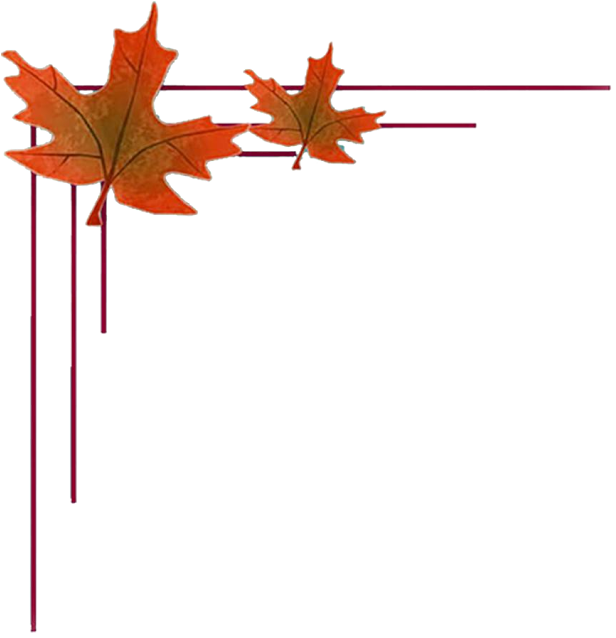 Download Cliparts And Objects In Full Resolution Please - Indian Wedding Frame Png - Free Transparent PNG Clipart Images Download. - Transparent PNG Free Download