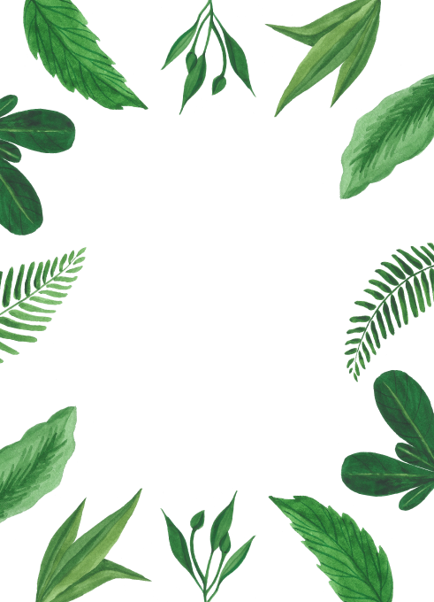 Tropical Leaf Wedding Invitation - Free Transparent PNG Clipart Images Download. - Transparent PNG Free Download