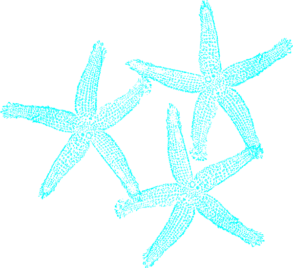 Starfish Clipart Mint - Wedding Starfish Clipart - Free Transparent PNG Clipart Images Download. - Transparent PNG Free Download
