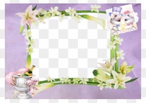 Frames For Photoshop - Wedding Frame In Hd - Free Transparent PNG Clipart Images Download. - Transparent PNG Free Download
