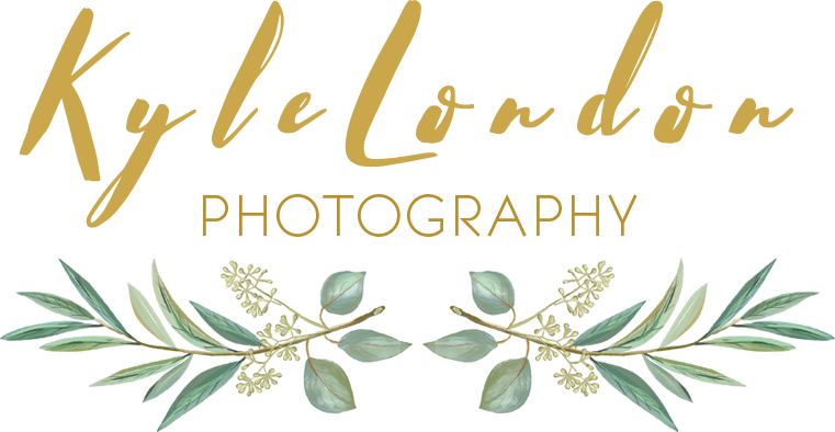 Wedding Photography - Free Transparent PNG Clipart Images Download. - Transparent PNG Free Download