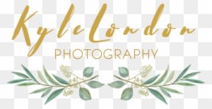 Wedding Photography - Free Transparent PNG Clipart Images Download. - Transparent PNG Free Download