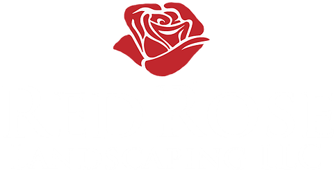 Home - Zwei Rote Rosen, Die Uawg Wedding Sind Karte - Free Transparent PNG Clipart Images Download. - Transparent PNG Free Download