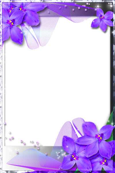 Purple Heart Frames - Blue Wedding Borders And Frames - Free Transparent PNG Clipart Images Download. - Transparent PNG Free Download