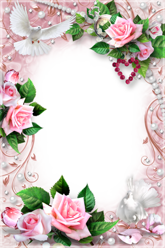 0 Cd89e 8f33400e L - Couple Frame For Wedding - Free Transparent PNG Clipart Images Download. - Transparent PNG Free Download