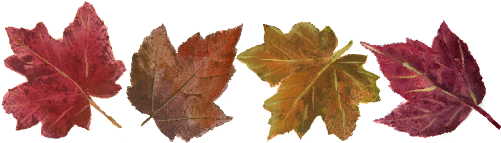 Leaf Pattern - Cheese Course Wedding Menu - Free Transparent PNG Clipart Images Download. - Transparent PNG Free Download