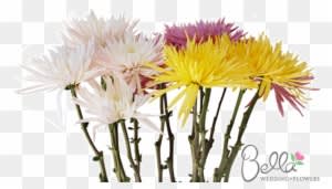 Sleek, Elongated Petals Unfurl From The Center Of The - Wedding - Free Transparent PNG Clipart Images Download. - Transparent PNG Free Download