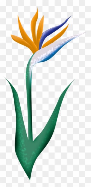 Tropical Printssummer Parties - Thank You Wedding Party Card - Free Transparent PNG Clipart Images Download. - Transparent PNG Free Download