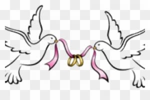 Dove And Heart Clip Art - Wedding Doves Clipart - Free Transparent PNG Clipart Images Download. - Transparent PNG Free Download