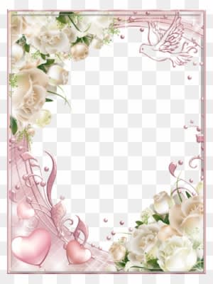 White Roses Pink Png Photo Frame - Wedding Borders And Frames Png - Free Transparent PNG Clipart Images Download. - Transparent PNG Free Download
