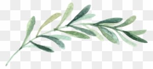 Home Page - Wedding Invitation - Free Transparent PNG Clipart Images Download. - Transparent PNG Free Download