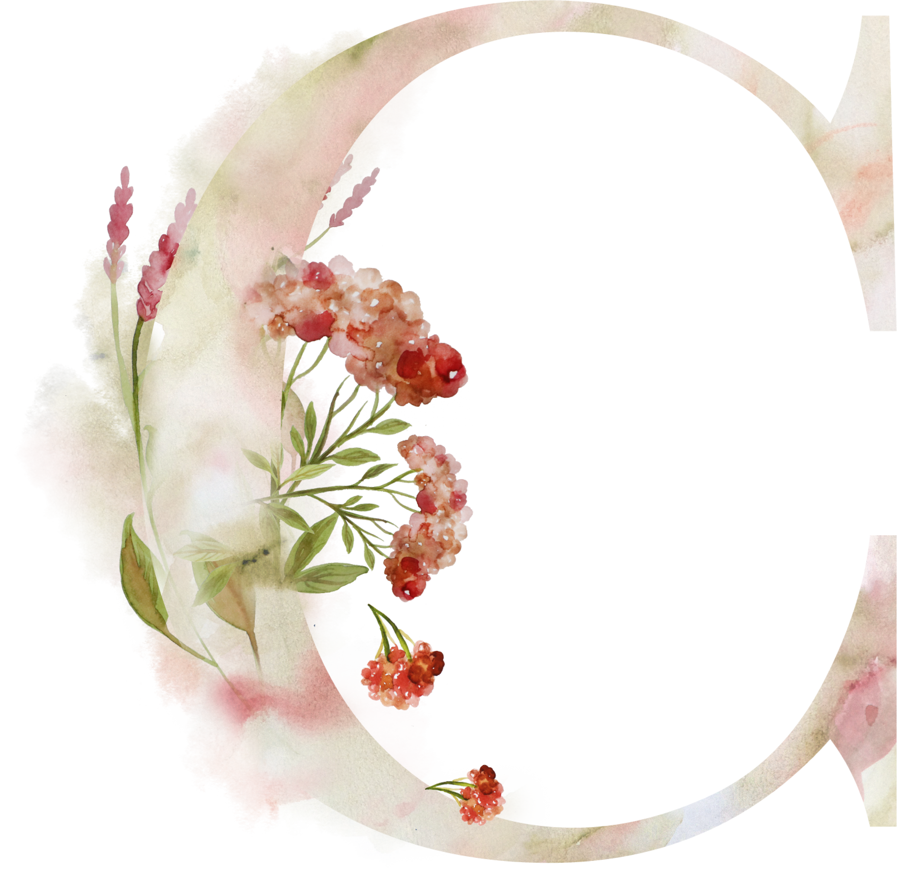 Bsuchstabe C Alphabet Monogram Zeichen Watercoler Gezeichnet - Sleepy Ridge Weddings - Free Transparent PNG Clipart Images Download. - Transparent PNG Free Download