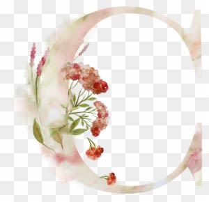 Bsuchstabe C Alphabet Monogram Zeichen Watercoler Gezeichnet - Sleepy Ridge Weddings - Free Transparent PNG Clipart Images Download. - Transparent PNG Free Download