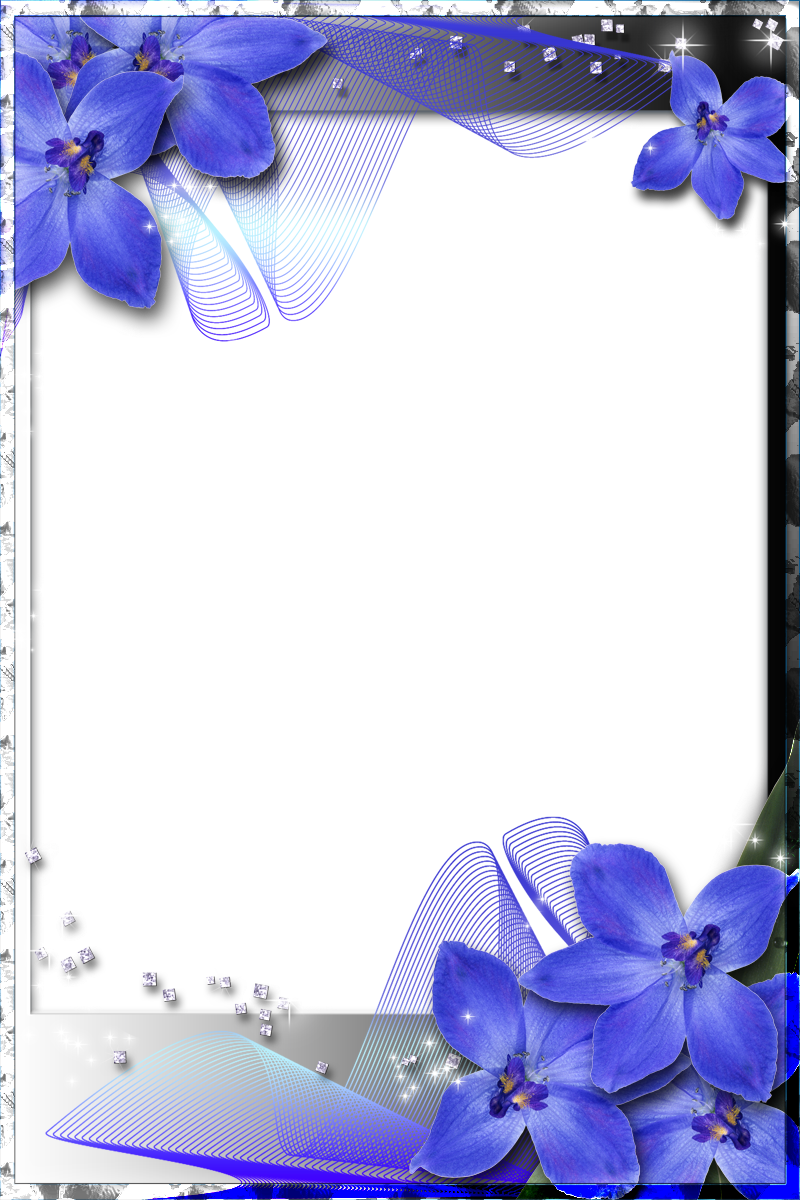 Beautiful Transparent Frame With Blue Orchids - Blue Wedding Borders And Frames - Free Transparent PNG Clipart Images Download. - Transparent PNG Free Download