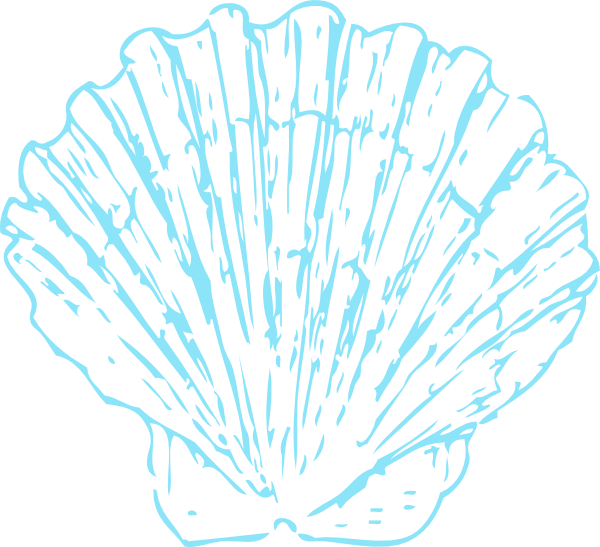 Turquoise Shell Opaque Clip Art At Clker - Seashell Wedding Clip Art - Free Transparent PNG Clipart Images Download. - Transparent PNG Free Download