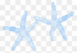 Starfish Clipart Blue Starfish - Beach Wedding Welcome Bag - Free Transparent PNG Clipart Images Download. - Transparent PNG Free Download