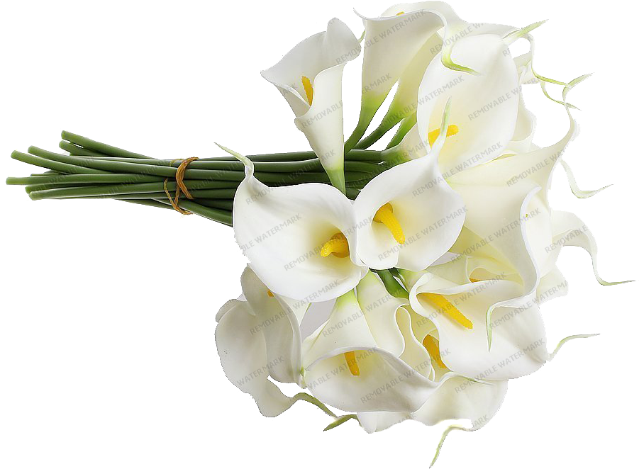 Rosa Palo De Rosa - Wedding Bouquet - Free Transparent PNG Clipart Images Download. - Transparent PNG Free Download