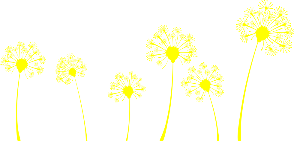 Drop Us A Line - Dandelions Plantable Wedding Invitations - Free Transparent PNG Clipart Images Download. - Transparent PNG Free Download