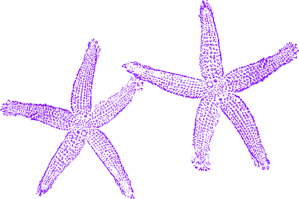Starfish Clipart Three - Beach Wedding Welcome Bag - Free Transparent PNG Clipart Images Download. - Transparent PNG Free Download