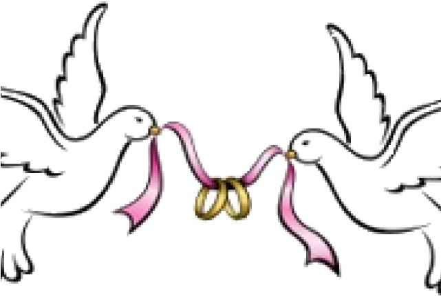 Wedding Dove Clipart - Wedding Doves Clipart - Free Transparent PNG Clipart Images Download. - Transparent PNG Free Download