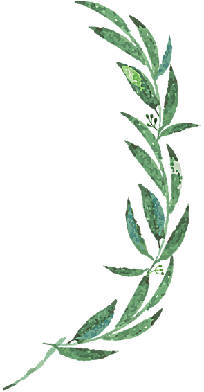 Mckenzie Botanicals - Wedding - Free Transparent PNG Clipart Images Download. - Transparent PNG Free Download